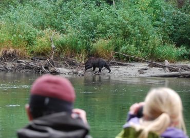 grizzly bear viewing and bear watching tours with Kynoch Adventures. Photographing bears