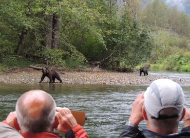 bear viewing grizzly bear tour kynoch adventures bear watching holiday bella coola bc canaca